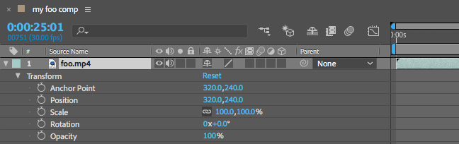 Transform properties